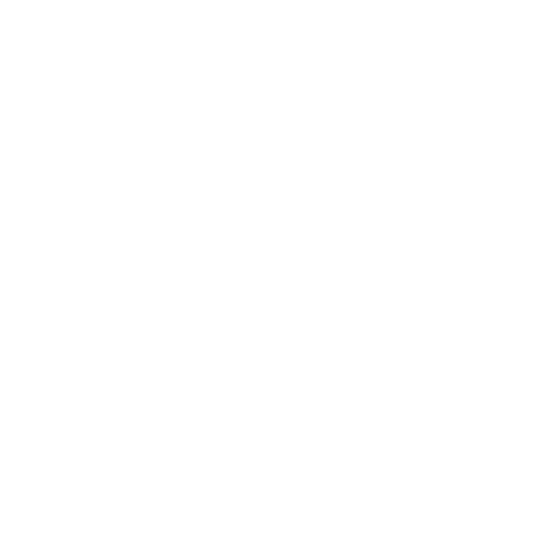 GantsDeStyle®